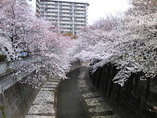 110407_121554.jpg