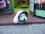 DSCF1264.JPG